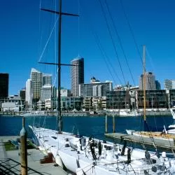 Auckland Region